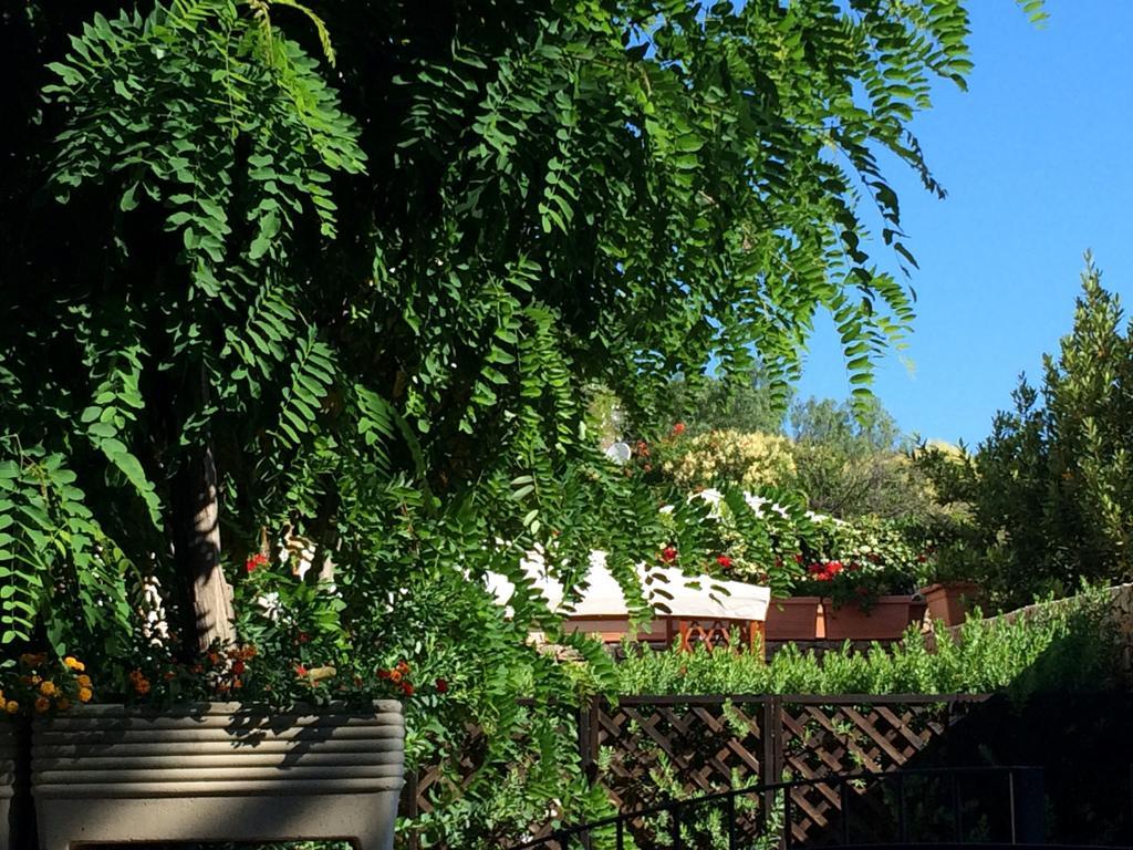 Villa Giuliana ซานวิโต โลคาโป ห้อง รูปภาพ
